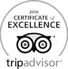 TripAdvisor 2016